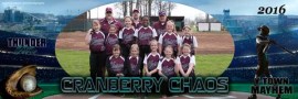 Cranberry Chaos